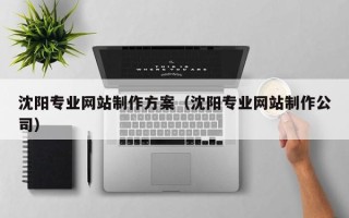莱阳沈阳专业网站制作方案（沈阳专业网站制作公司）